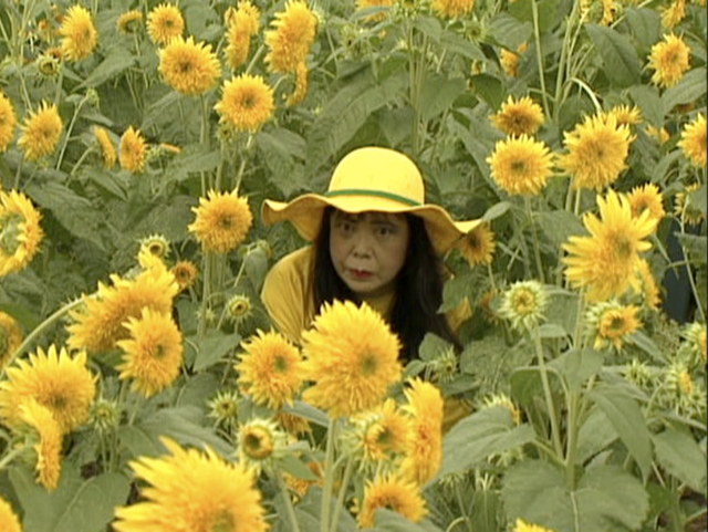 Title Flower Obsession (Sunflower) タイトル：花強迫（ひまわり） Date 2 000 Medium Video Length 2 min. 40 sec. Credit lines Copyright of YAYOI KUSAMA Courtesy of Ota Fine Arts