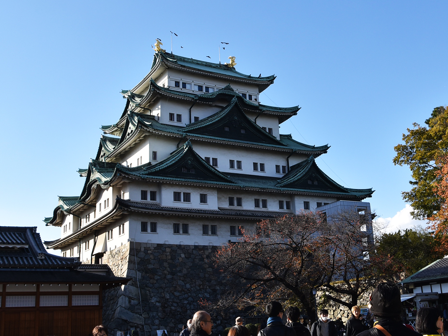 名古屋城