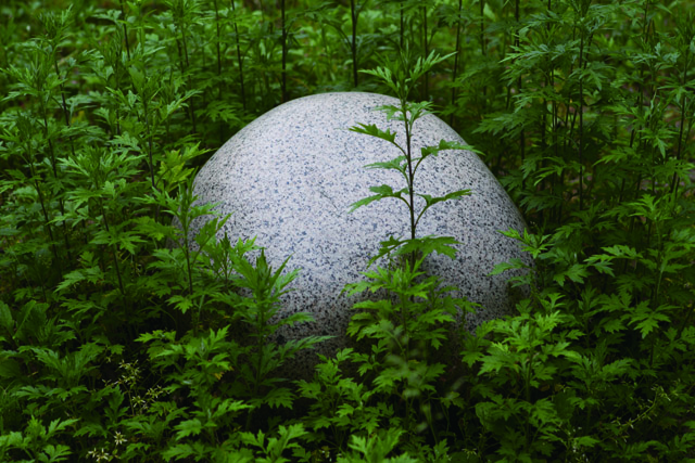 《デコレータークラブー石の近く、ポートアイランドー》2012 インクジェットプリント 560mm×420mm *参考図版:A-Lab Exhibition Vol.16「飯川雄大個展 デコレータークラブ 配置・調整・周遊」あまらぶアートラボ「A-Lab(えーらぼ)」