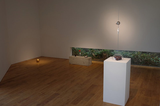 会場風景:岡崎和郎「御物補遺」展 ギャラリーあしやシューレ