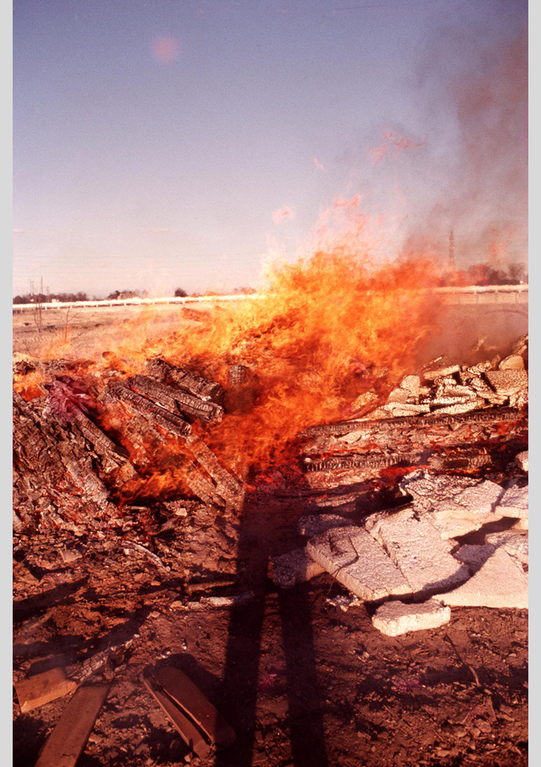 ©Daido Moriyama Photo Foundation, Courtesy of ︎Akio Nagasawa Gallery ©Daido Moriyama Photo Foundation, Courtesy of ︎Akio Nagasawa Gallery:森山大道個展「RADIATION (color)」AKIO NAGASAWA Gallery Ginza