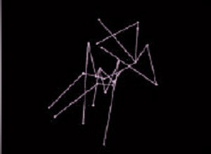 《.PET24》イメージ