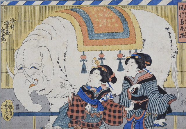 流行菊花揃 歌川芳虎 個人蔵