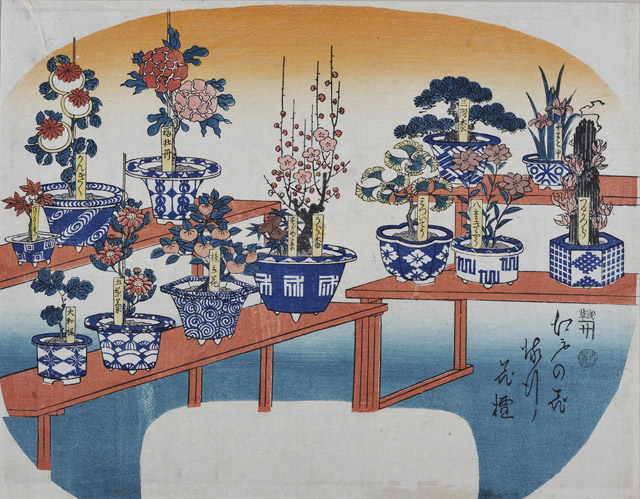 江戸の花流行花壇 無款 個人蔵