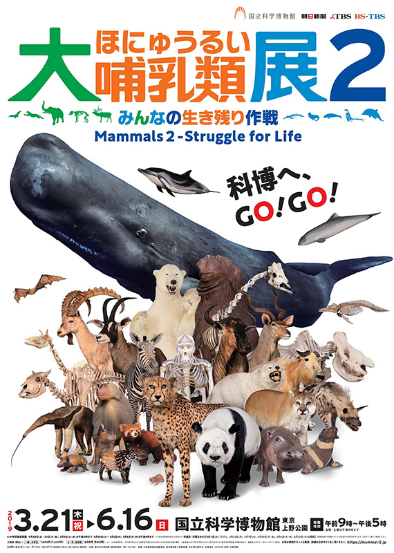 大哺乳類展2 限定品セット　国立科学博物館 特別展「大哺乳類展2―みんなの生き残り作戦」 | NEUTRAL