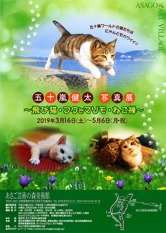 五十嵐健太 写真展 ~ 飛び猫・フクとマリモ・ねこ禅 ~ 五十嵐健太 写真展 ~ 飛び猫・フクとマリモ・ねこ禅 ~