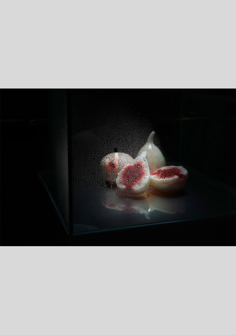 「佐藤浩一 第三風景」金沢21世紀美術館