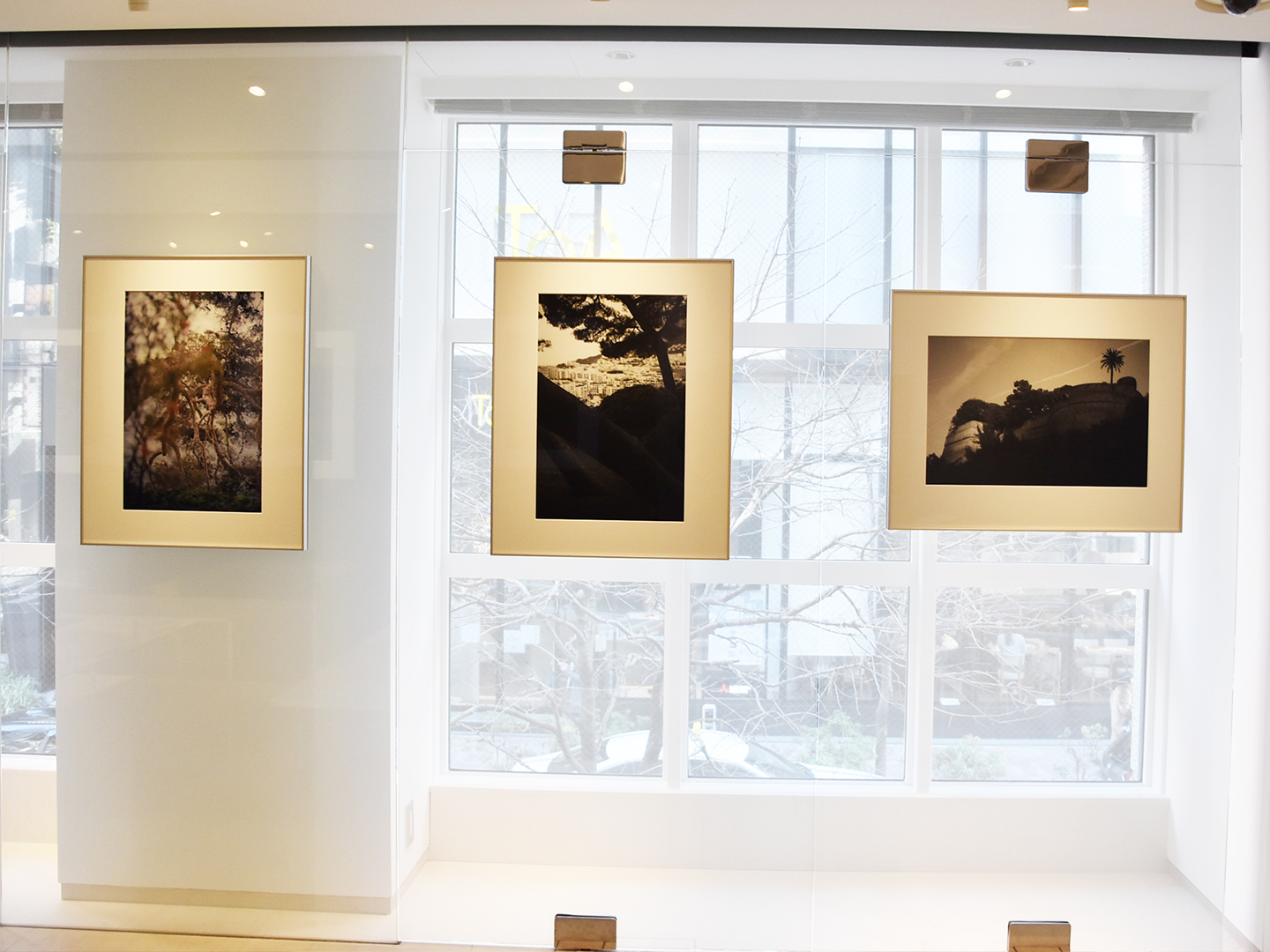 過去から未来へと物語を紡ぎ、美しい地球を守ることの大切さを静かに