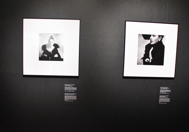 アーヴィング・ペンが撮影した、妻でモデルのリサ・フォンサグリ―ヴスの作品