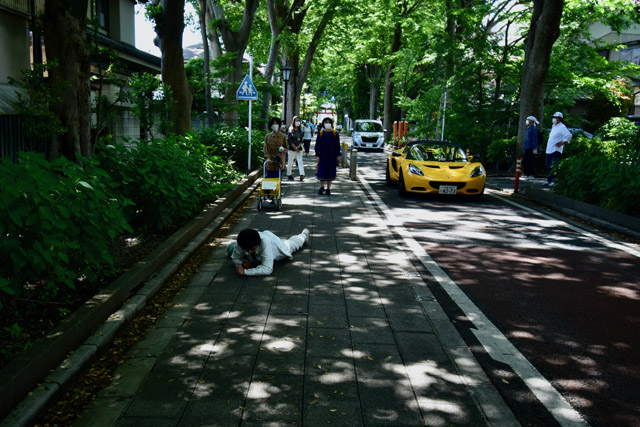 本来、歩行者が多い参道だけに車は徐行で通り抜けていく