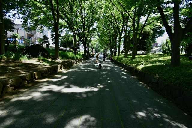 行程の後半となる氷川参道・平成ひろば