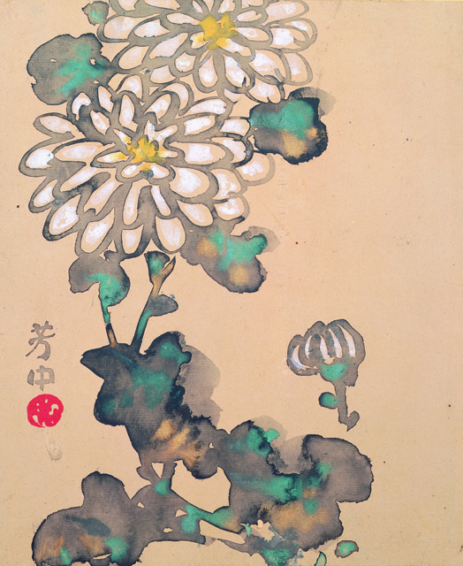 中村芳中〈花卉図画帖〉より「十月 白菊」 細見美術館蔵