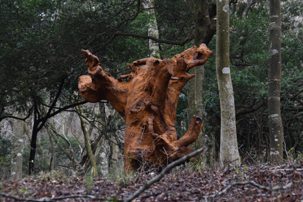 アイ・ ウェイウェイ《鉄樹根》2015年 鉄, 220 x 205 x 205 cm ポーラ美術館蔵